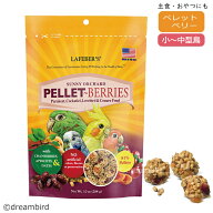 CAP! 鳥の餌 賞味期限2027/12/10【スモール】ラフィーバー ペレットベリー スモールバード 10oz（284g）