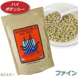 CAP! ̉a HPt@Cܖ2027/2/28 n\ nC|eV[ t@C 1#i454gj