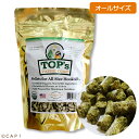 賞味期限:2020/3/30【トップパロットフード】オールサイズ(レギュラー) 1#(453g)/