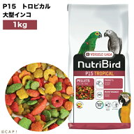 賞味期限2027/12/24※P15トロピカル・大1kg※【ヴァーセレ・ラガ】 ニュートリバード P15トロピカル(マル…