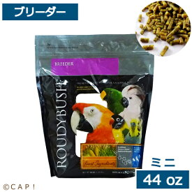 CAP! 鳥の餌 賞味期限2025/11/17ラウディブッシュ ブリーダー ミニ 44oz(1.25kg)