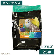 CAP! 鳥の餌 賞味期限2027/8/7【ニブルズ25#】ラウディブッシュ メンテナンス ニブルズ 25#(11.3kg)