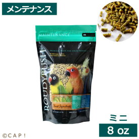 【1/25限定＼抽選で2人に1人／最大100%ポイントバック&全品P5倍★要エントリー】CAP! 鳥の餌 賞味期限2027/4/3【ミニ8oz】ラウディブッシュ メンテナンス ミニ 8oz(227g)