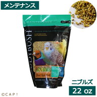 CAP! 鳥の餌 賞味期限2027/7/10【ニブルズ22oz】ラウディブッシュ メンテナンス ニブルズ 22oz(624g)