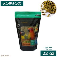 CAP! 鳥の餌 賞味期限2028/2/12【ミニ22oz】ラウディブッシュ メンテナンス ミニ 22oz(624g)