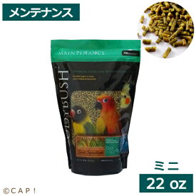 【1/25限定＼抽選で2人に1人／最大100%ポイントバック&全品P5倍★要エントリー】CAP! 鳥の餌 賞味期限2027/4/3【ミニ22oz】ラウディブッシュ メンテナンス ミニ 22oz(624g)