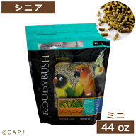 CAP! 鳥の餌 賞味期限2027/7/24【Srミニ】ラウディブッシュ シニアダイエット ミニ 44oz(1.25kg)