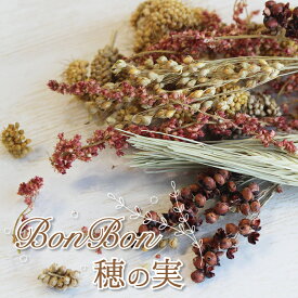 CAP! 鳥の餌 BonBon穂の実