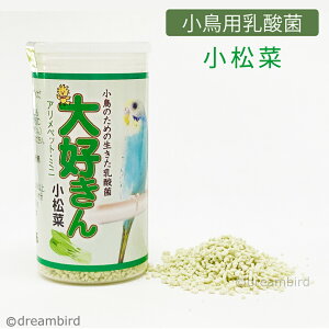 CAP! ̉a ܖ2026/10/10y{ہzD  12g ؁