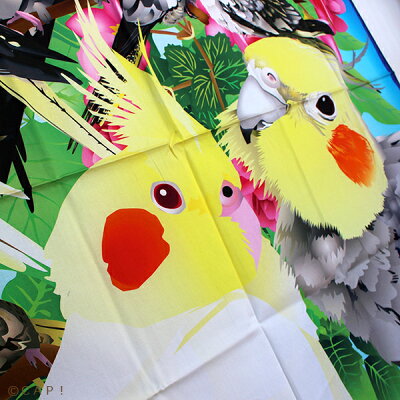 楽天市場 Piyopiyobrand タペストリー オカメインコ cap 楽天市場 Piyopiyobrand タペストリー オカメインコ cap