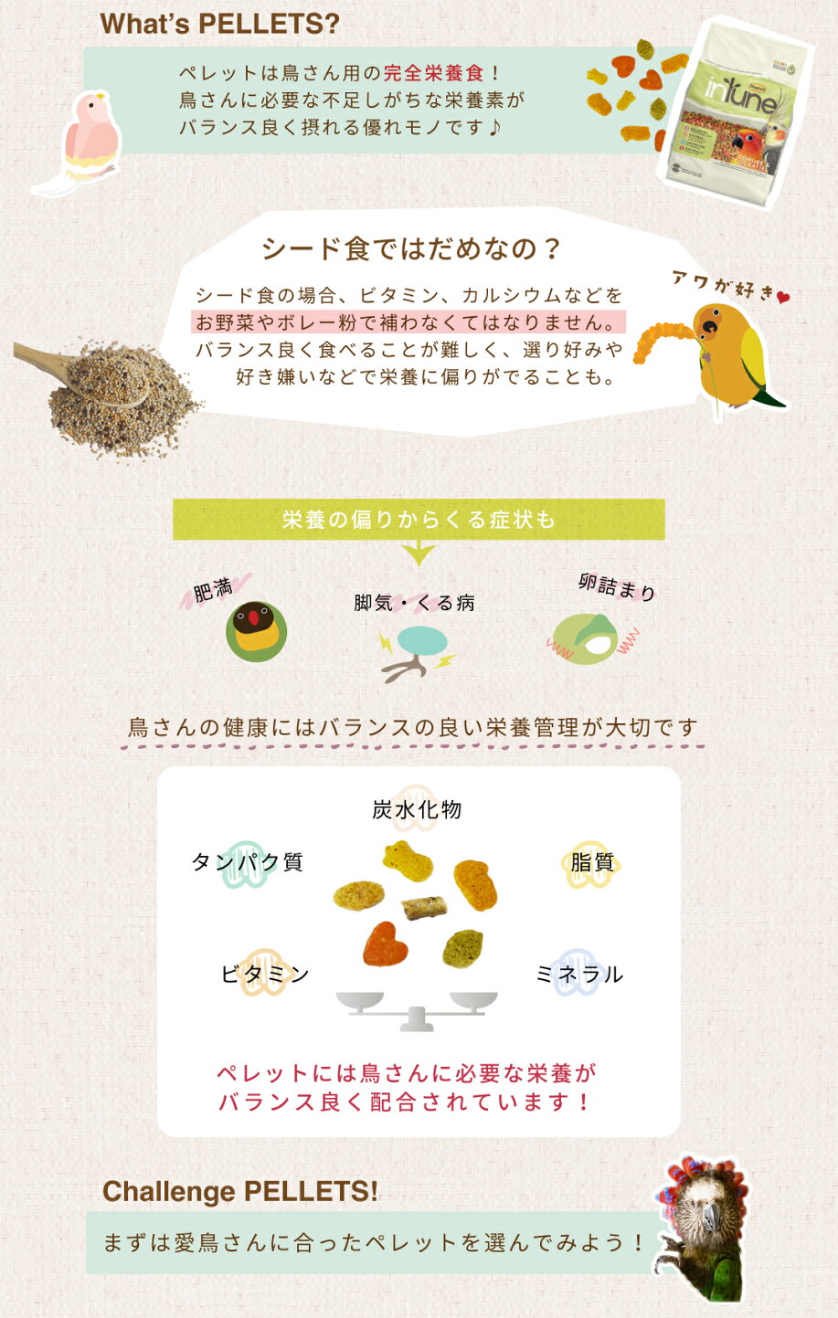 楽天市場 | ＣＡＰ！ - ペレット診断チャート