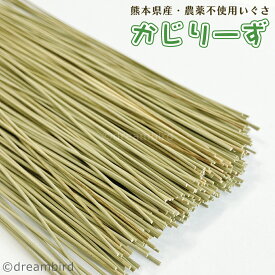 かじりーず カットいぐさ 20cmカット/40g入