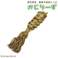 かじりーず　かじってぐるぐる