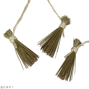 y11/15_I2l1l^ő100%|CgobNXSiP5{vGg[z[@قO