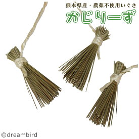 かじりーず　ほうき三昧