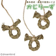 かじりーず　リング三昧