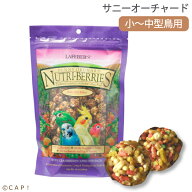CAP! 鳥の餌 賞味期限2027/4/6【オカメ82840】ラフィーバー サニーオーチャード オカメインコ (10oz/284g)