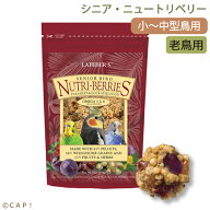 CAP! 鳥の餌 賞味期限2027/12/10【オカメ】ラフィーバー シニアバード ニュートリベリーズ オカメインコ(…