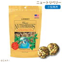 賞味期限:2020/7/17ラフィーバー ニュートリベリーパラキート 10oz(284g)