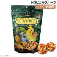 CAP! 鳥の餌 賞味期限2027/8/16【オカメ】ラフィーバー トロピカルフルーツ オカメインコ (10oz/284g)