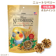 CAP! 鳥の餌 賞味期限2026/11/15【オカメ】ラフィーバー ニュートリベリー オカメインコ 10oz（284g）