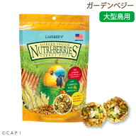 CAP! 鳥の餌 賞味期限2026/11/28ラフィーバー ガーデンベジー 10oz/284g
