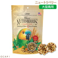 CAP! 鳥の餌 賞味期限2027/10/9【パロット】ラフィーバー ニュートリベリー パロット 10oz（284g ）