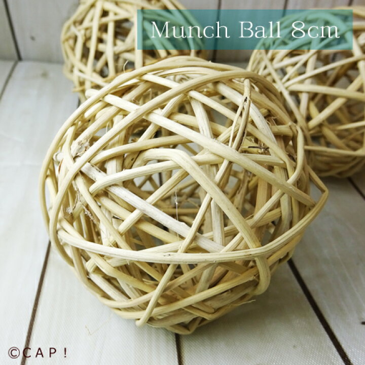 楽天市場】8cm Munch Balls Natural マンチボール 1個 SB151☆ : ＣＡＰ！