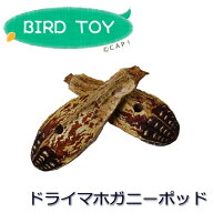 【Parts】Mahogany Pod 10個 ※まとめ買い※ポッド※★