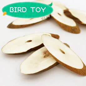 【Parts】Sola Chips 1枚 SB★