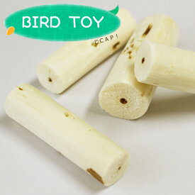 【parts】Sola Stems 1本★