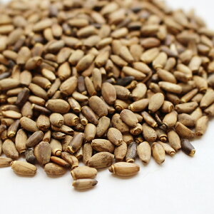 CAP! ̉a ܖ2026/8/31yƂ肫zy_z }AAU~̎q@20g