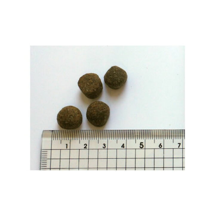 楽天市場】【無添加おやつ付き】ブラックウッド 1000 20kg(5kg×4個 