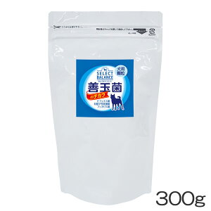 ZNgoX@Pʋۂ̃`J pij@300g@i_ۃS[h j[Aij