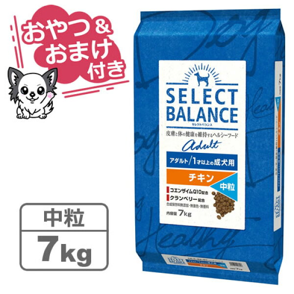 【クーポン配布中】【おやつ＆おまけ付き♪】セレクトバランス アダルト チキン【中粒】7kg　1才以上の成犬用【Select Balance セレクト・バランス （成犬用）】