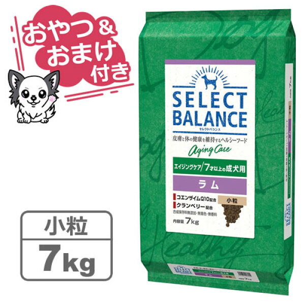 【クーポン配布中】【おやつ＆おまけ付き♪】セレクトバランス エイジングケア ラム 小粒 7kg　7才以上の成犬用 【Select Balance セレクト・バランス （高齢犬用）】