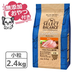 【クーポン配布中】【無添加おやつ付き♪】セレクトバランス グレインフリー アダルトチキン 小粒 2.4kg　1才以上の成犬用【穀類不使用 Select Balance セレクト・バランス （成犬用）】