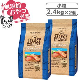 【クーポン配布中】【無添加おやつ付き♪】セレクトバランス グレインフリー アダルトサーモン 小粒 2.4kg×2個セット　1才以上の成犬用【穀類不使用 Select Balance セレクト・バランス （成犬用）】