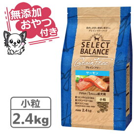 【クーポン配布中】【無添加おやつ付き♪】セレクトバランス グレインフリー アダルトサーモン 小粒 2.4kg　1才以上の成犬用【穀類不使用 Select Balance セレクト・バランス （成犬用）】