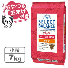 【クーポン配布中】【おやつ＆おまけ付き♪】セレクトバランス パピー チキン 小粒 7kg　子犬・母犬用 【Select Balance セレクト・バランス （子犬用）】