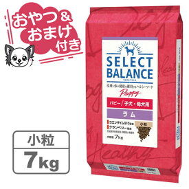 【最大10%OFFクーポン配布中】【おやつ＆おまけ付き♪】セレクトバランス パピー ラム 小粒 7kg　子犬・母犬用 【Select Balance セレクト・バランス （子犬用）】