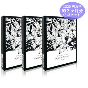 y2܂P2{v[gLy[z \ĐQ邾 ێ ڌ N iCg N[ pb` ڂ̉ \ p pbN tFCX}XN h{gbNX R[Q qA_ 