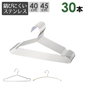 楽天市場 ハンガー セットの通販