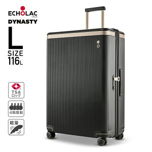 X[cP[X yECHOLAC DYNASTYz STCY MTCY LTCY STCY@ L[obO L[P[X TSAbN PCf OđI\ȗn É _uLX^[ 8 ۊǗpJ