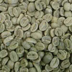 コーヒー生豆 エメラルドマウンテン コロンビア産 100g 袋 キャピタルコーヒー CAPITAL 珈琲生豆 未焙煎 少量購入可能