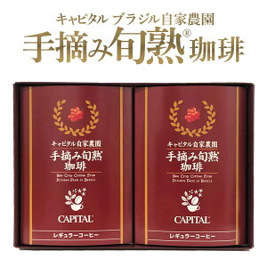 y\̔z2025N Ls^uWƔ_ Eݏ{n j[Nbv(V) 蓤(܂͓Iׂ܂) 220g×2 CAPITAL XyVeBR[q[  ~fBA[X