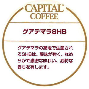 CAPITAL グアテマラ SHB ストレート グアテマラ産 焙煎珈琲豆(粉または豆を選べます) 200g 袋 キャピタルコーヒー コーヒー豆 高品質 自社焙煎