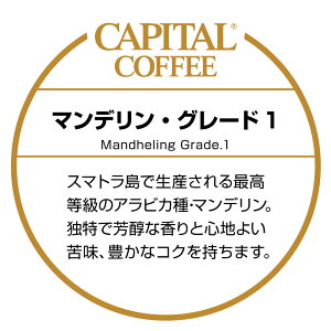 }fEO[h1 Xg[g ChlVAY 蓤(܂͓Iׂ܂) 200g  Ls^R[q[ CAPITAL R[q[  i