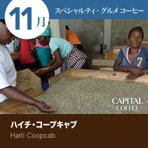 11̃XyVeBEOR[q[ nC`ER[vLu 蓤(܂͓Iׂ܂) 200g  Ls^R[q[ CAPITAL i   XyVeBR[q[