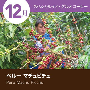 12̃XyVeBEOR[q[ y[ }`s` (܂͓Iׂ܂) 200g  Ls^R[q[ CAPITAL i   XyVeBR[q[